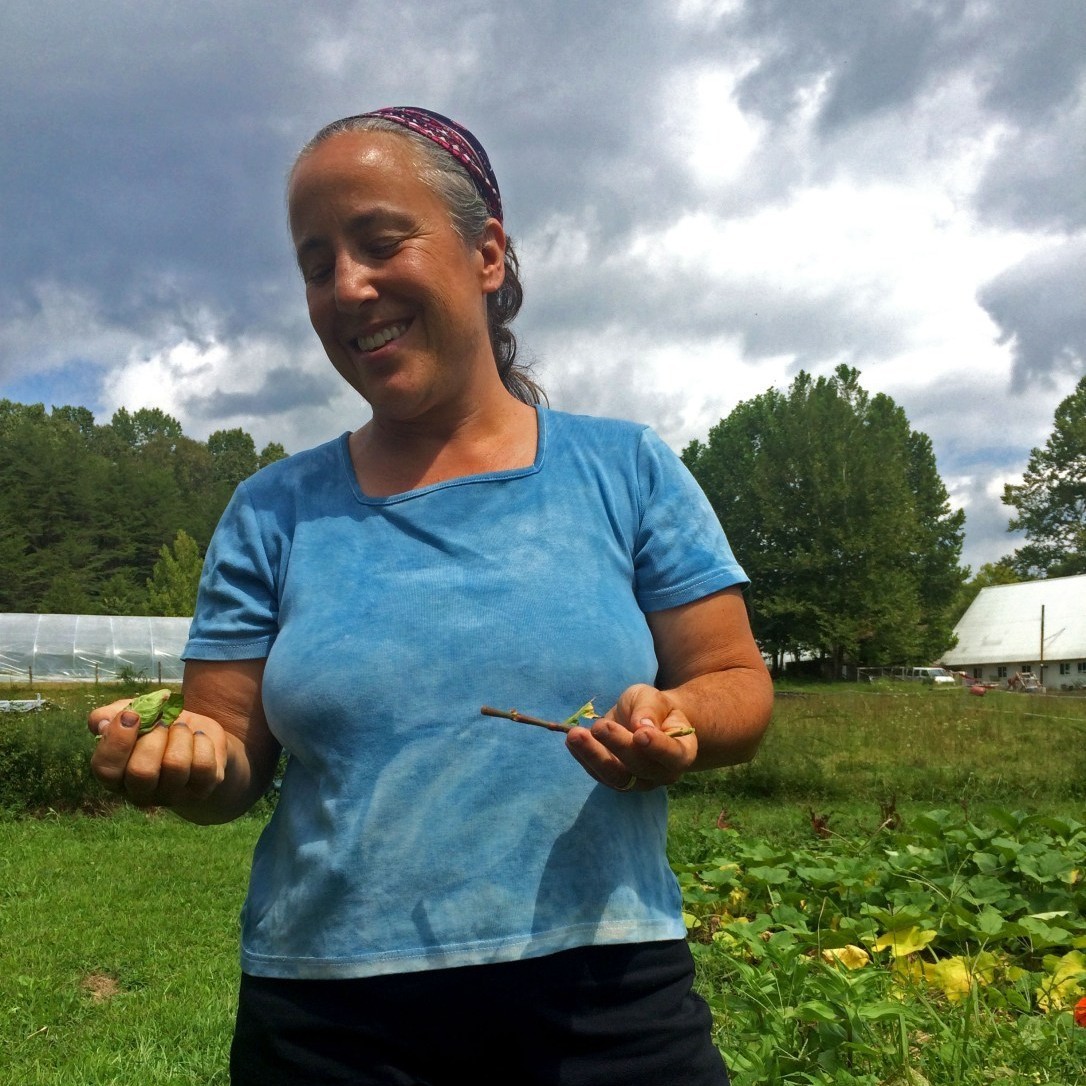 robin verson cropped Robin Verson